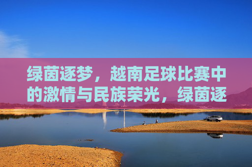 绿茵逐梦，越南足球比赛中的激情与民族荣光，绿茵逐梦，越南足球比赛中的激情与民族荣光