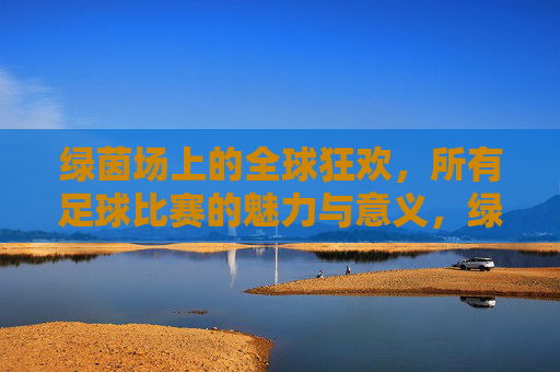 绿茵场上的全球狂欢，所有足球比赛的魅力与意义，绿茵场上的全球狂欢，足球比赛的魅力与意义