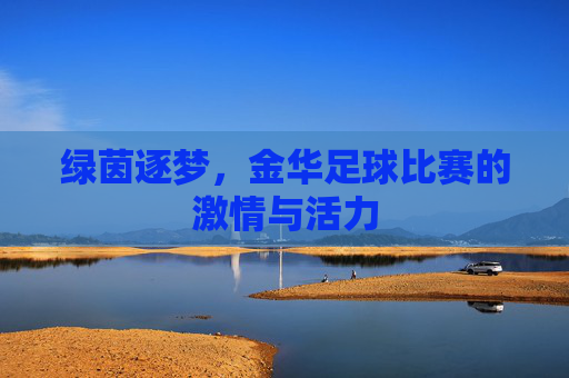 绿茵逐梦,金华足球比赛的激情与活力