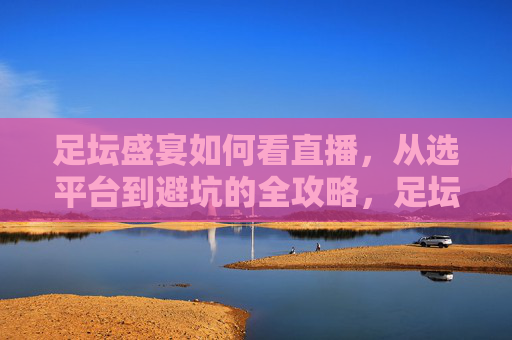 足坛盛宴如何看直播，从选平台到避坑的全攻略，足坛盛宴直播看球全攻略，从选平台到避坑的实用指南