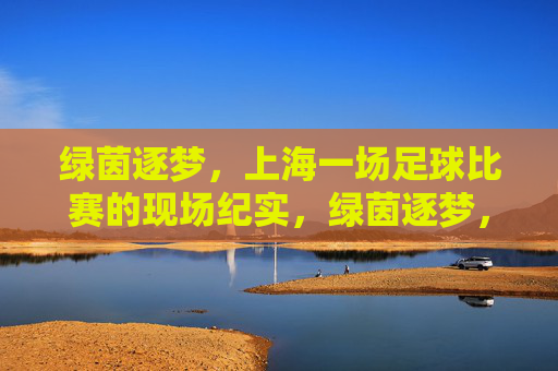 绿茵逐梦，上海一场足球比赛的现场纪实，绿茵逐梦，上海一场足球比赛的现场纪实