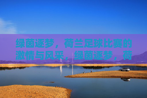 绿茵逐梦，荷兰足球比赛的激情与风采，绿茵逐梦，荷兰足球比赛的激情与风采