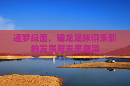逐梦绿茵，瑞龙足球俱乐部的发展与未来展望