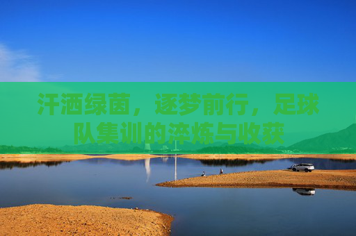 汗洒绿茵，逐梦前行，足球队集训的淬炼与收获