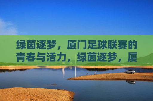 绿茵逐梦，厦门足球联赛的青春与活力，绿茵逐梦，厦门足球联赛的青春与活力