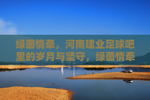 绿茵情牵，河南建业足球吧里的岁月与坚守，绿茵情牵，河南建业足球吧里的岁月与坚守