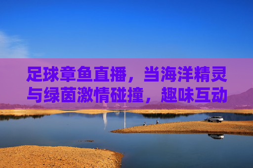 足球章鱼直播,当海洋精灵与绿茵激情碰撞,趣味互动点燃观赛热情,足球章鱼直播,海洋精灵与绿茵激情碰撞,趣味互动点燃观赛热情