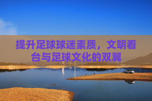 提升足球球迷素质，文明看台与足球文化的双翼