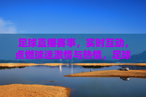 足球直播赛事，实时互动，点燃球迷激情与热情，足球直播赛事实时互动，点燃球迷激情与热情