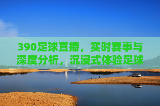 390足球直播，实时赛事与深度分析，沉浸式体验足球盛宴，390足球直播，实时赛事与深度分析，沉浸式体验足球盛宴