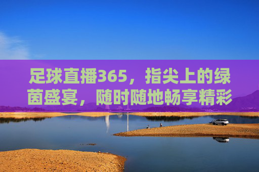 足球直播365，指尖上的绿茵盛宴，随时随地畅享精彩对决