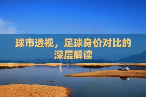球市透视,足球身价对比的深层解读