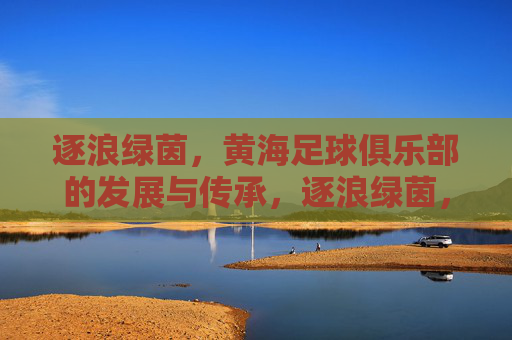 逐浪绿茵,黄海足球俱乐部的发展与传承,逐浪绿茵,黄海足球俱乐部的发展与传承