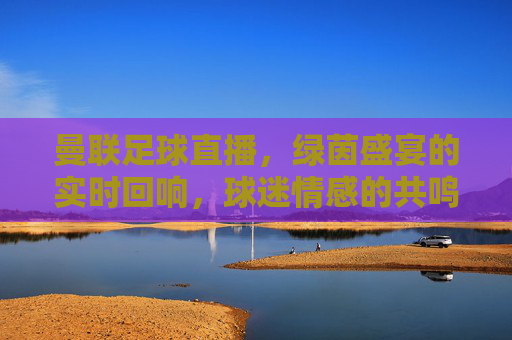 曼联足球直播,绿茵盛宴的实时回响,球迷情感的共鸣场