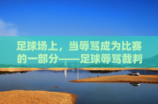足球场上，当辱骂成为比赛的一部分——足球辱骂裁判现象的拷问与反思