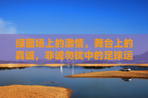 绿茵场上的激情，舞台上的真诚，非诚勿扰中的足球运动员，绿茵场上的激情与舞台上的真诚，非诚勿扰中的足球运动员