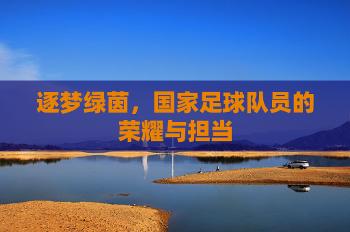 逐梦绿茵，国家足球队员的荣耀与担当