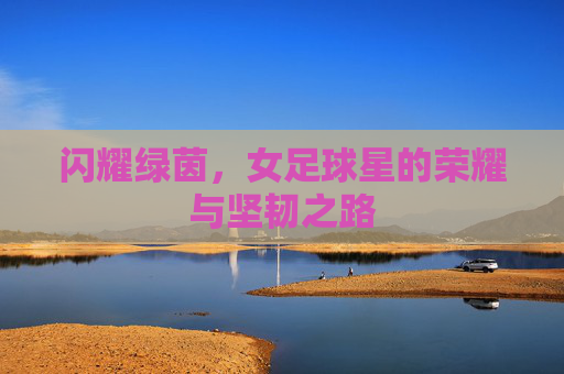 闪耀绿茵，女足球星的荣耀与坚韧之路