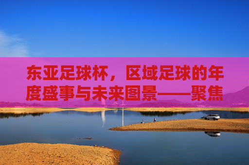 东亚足球杯，区域足球的年度盛事与未来图景——聚焦赛事活力与挑战，东亚足球杯，区域足球的年度盛事与未来图景——聚焦赛事活力与挑战