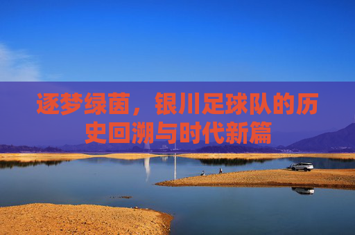 逐梦绿茵,银川足球队的历史回溯与时代新篇