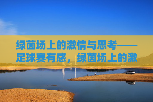 绿茵场上的激情与思考——足球赛有感,绿茵场上的激情与思考——足球赛有感