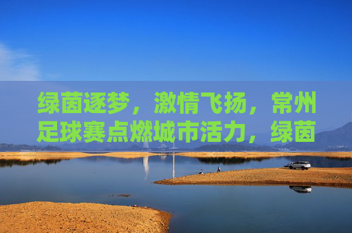 绿茵逐梦，激情飞扬，常州足球赛点燃城市活力，绿茵逐梦，激情飞扬，常州足球赛点燃城市活力