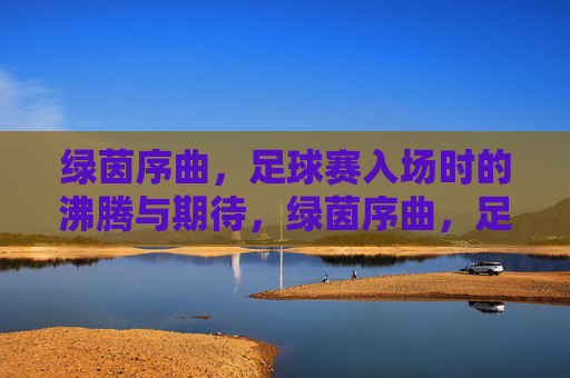 绿茵序曲，足球赛入场时的沸腾与期待，绿茵序曲，足球赛入场时的沸腾与期待