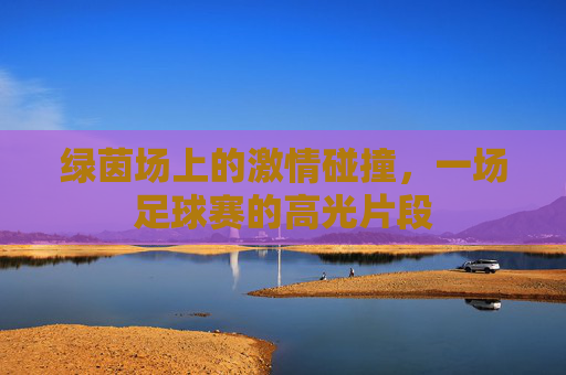 绿茵场上的激情碰撞，一场足球赛的高光片段