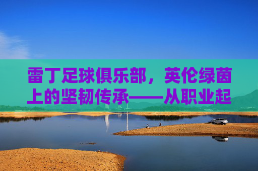 雷丁足球俱乐部，英伦绿茵上的坚韧传承——从职业起步到英超挑战的百年征程，雷丁足球俱乐部，英伦绿茵上的坚韧传承——从职业起步到英超挑战的百年征程