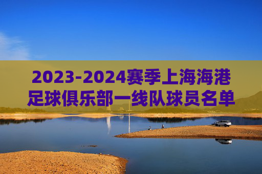 2023-2024赛季上海海港足球俱乐部一线队球员名单，实力矩阵与阵容深度解析