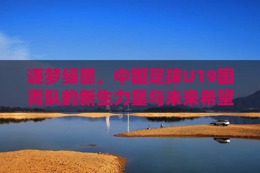 逐梦绿茵,中国足球U19国青队的新生力量与未来希望