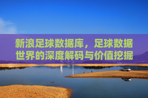 新浪足球数据库，足球数据世界的深度解码与价值挖掘，新浪足球数据库，足球数据世界的深度解码与价值挖掘