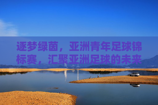 逐梦绿茵，亚洲青年足球锦标赛，汇聚亚洲足球的未来力量，逐梦绿茵，亚洲青年足球锦标赛汇聚亚洲足球的未来力量