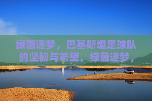 绿茵逐梦，巴基斯坦足球队的坚韧与希望，绿茵逐梦，巴基斯坦足球队的坚韧与希望