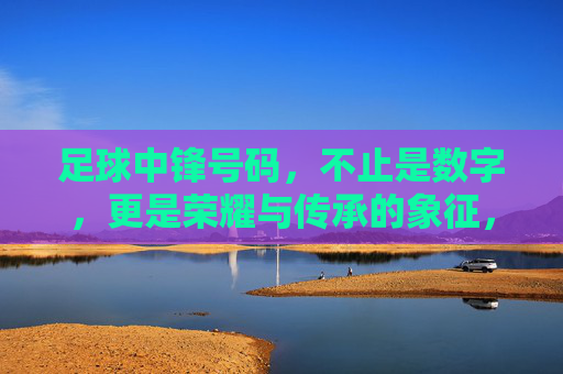 足球中锋号码，不止是数字，更是荣耀与传承的象征，足球中锋号码，不止是数字，更是荣耀与传承的象征