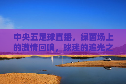 中央五足球直播，绿茵场上的激情回响，球迷的追光之旅，中央五足球直播，绿茵场上的激情回响，球迷的追光之旅