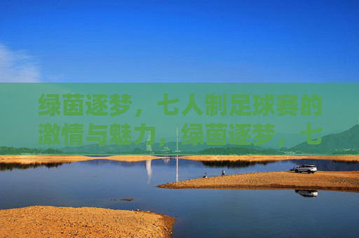 绿茵逐梦，七人制足球赛的激情与魅力，绿茵逐梦，七人制足球赛的激情与魅力