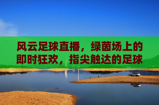风云足球直播,绿茵场上的即时狂欢,指尖触达的足球热力,风云足球直播,绿茵场上的即时狂欢,指尖触达的足球热力