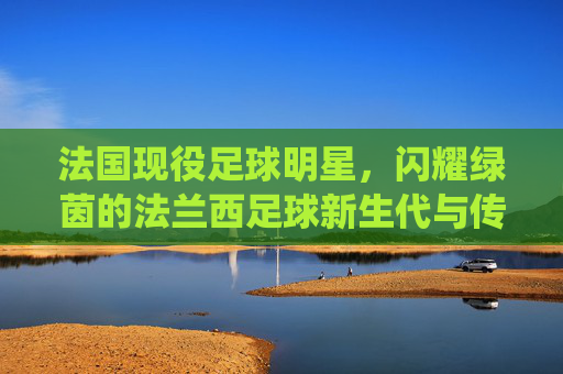 法国现役足球明星,闪耀绿茵的法兰西足球新生代与传承力量,法国现役足球明星,闪耀绿茵的法兰西足球新生代与传承力量