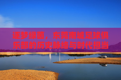 逐梦绿茵，东莞南城足球俱乐部的历史脉络与时代担当，逐梦绿茵，东莞南城足球俱乐部的历史脉络与时代担当