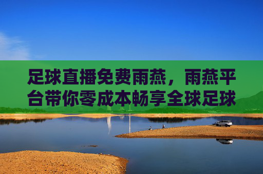 足球直播免费雨燕，雨燕平台带你零成本畅享全球足球盛宴，雨燕平台，免费足球直播，零成本畅享全球足球盛宴