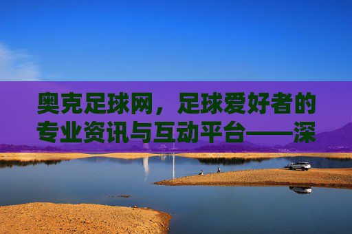 奥克足球网，足球爱好者的专业资讯与互动平台——深度解析与价值体现