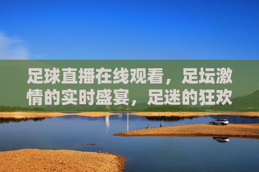 足球直播在线观看，足坛激情的实时盛宴，足迷的狂欢指南