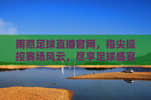 雨燕足球直播官网，指尖操控赛场风云，尽享足球盛宴的实时魅力