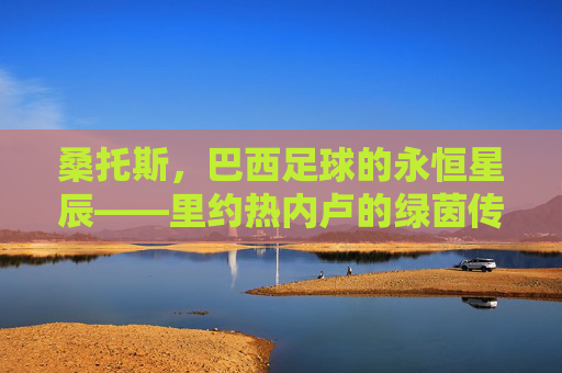 桑托斯，巴西足球的永恒星辰——里约热内卢的绿茵传奇与世界足坛的璀璨印记