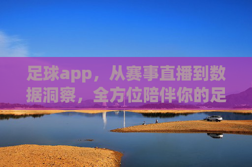 足球app,从赛事直播到数据洞察,全方位陪伴你的足球之旅