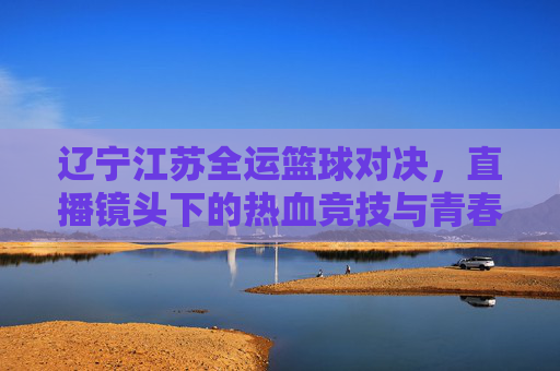 辽宁江苏全运篮球对决,直播镜头下的热血竞技与青春碰撞