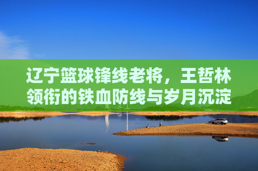 辽宁篮球锋线老将,王哲林领衔的铁血防线与岁月沉淀的传奇
