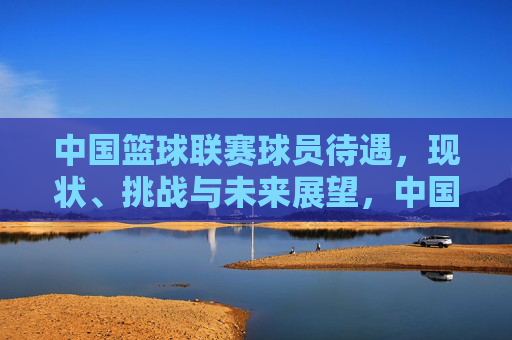 中国篮球联赛球员待遇,现状、挑战与未来展望,中国篮球联赛球员待遇,现状、挑战与未来展望