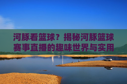 河豚看篮球？揭秘河豚篮球赛事直播的趣味世界与实用指南